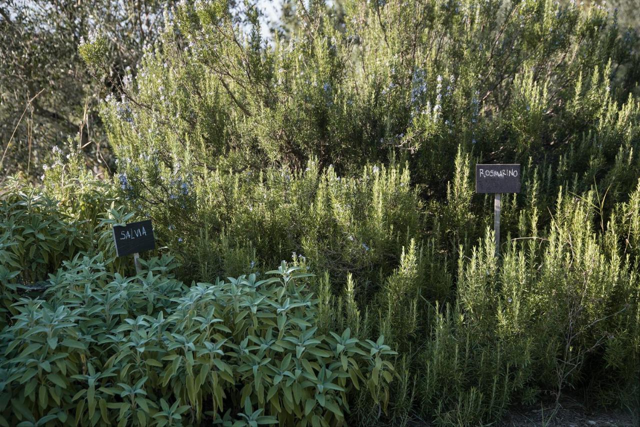 Il Villino Farmhouse Кастелина ин Кианти Екстериор снимка